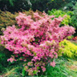 Meet your Posher, Sally